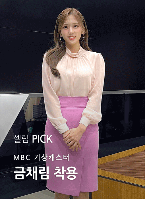 페이디 플리츠 하이넥 셔링 쉬폰 블라우스